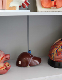 fb_k-WNk3bU-25.03.2022 16-22-38