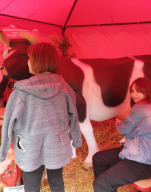 IMG-fc2aa514a3d6775b68a3f43e028f00ab-V