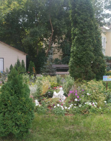 изображение_viber_2021-08-16_10-17-17-996