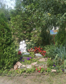 изображение_viber_2021-08-16_10-16-36-211