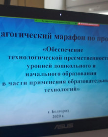 МБДОУ ДС 9 педагогический марафон 2020 (5)