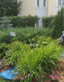 изображение_viber_2021-08-16_10-17-17-036