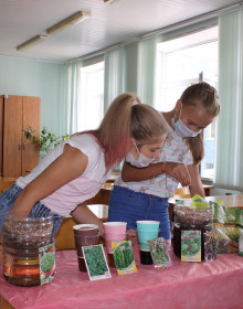 домашняя гидропоника 2