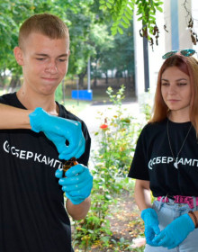 охотники за микробами