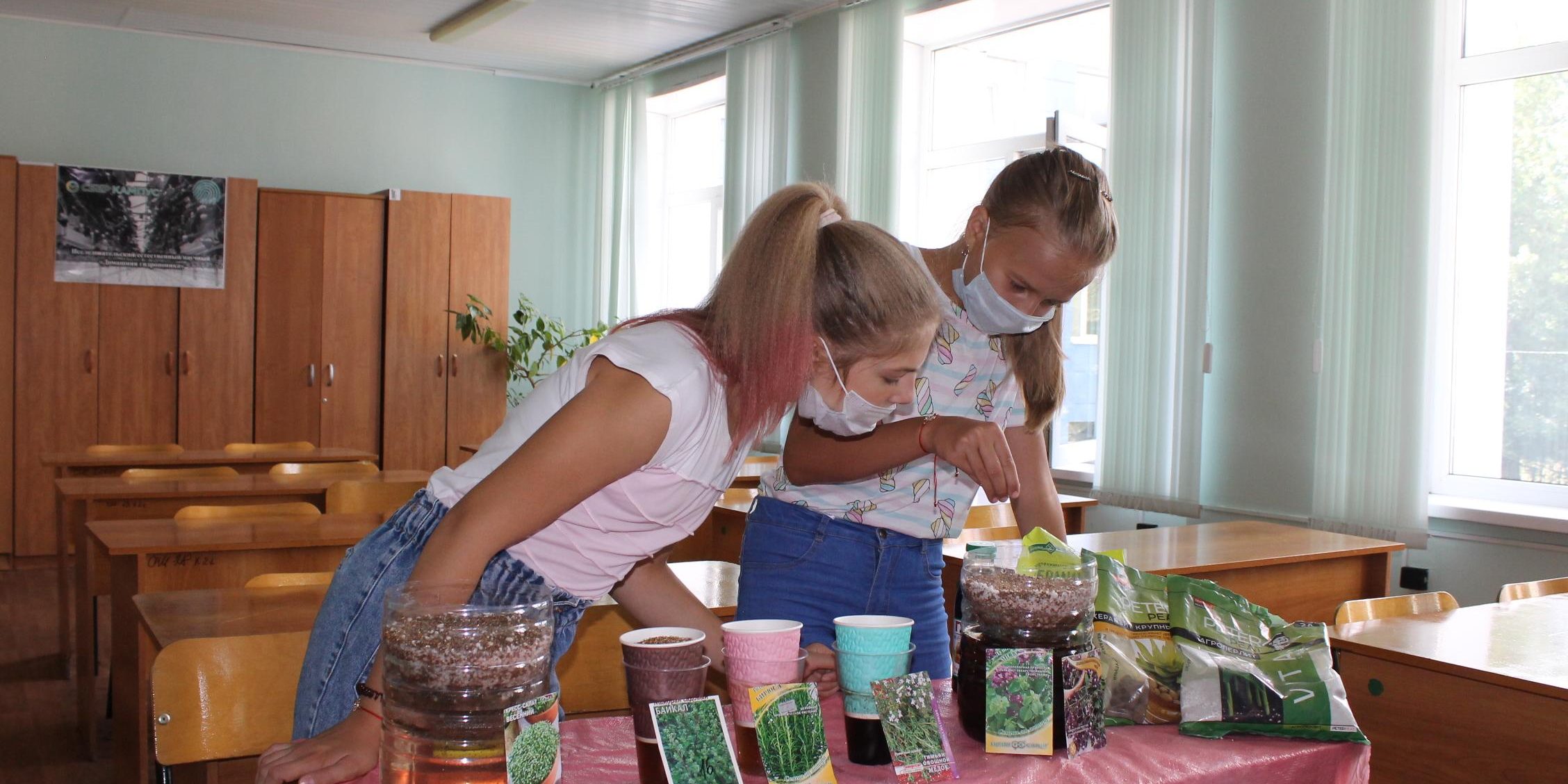 домашняя гидропоника 2