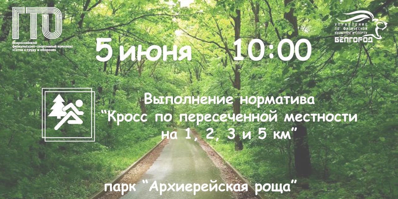 v0Wro2PIeEM