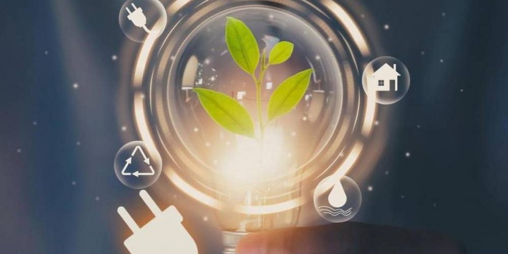 bigphoto_222472_401625_1000_0