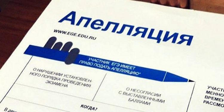 e2vzquknemnvtfgowz81qsaywcvvb99v