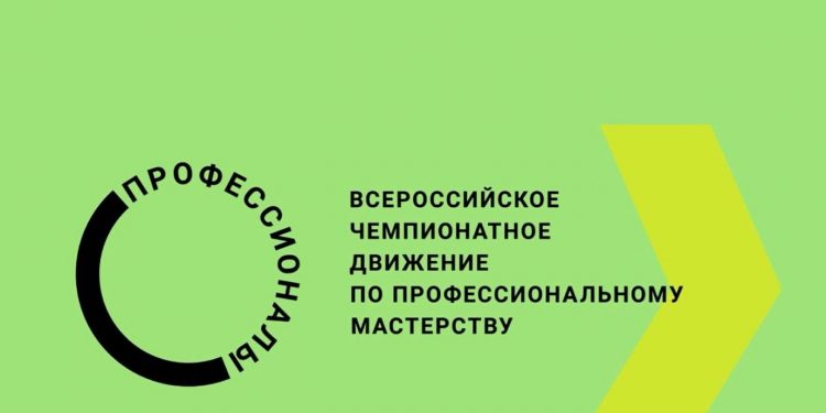 Профессионалы мастерство