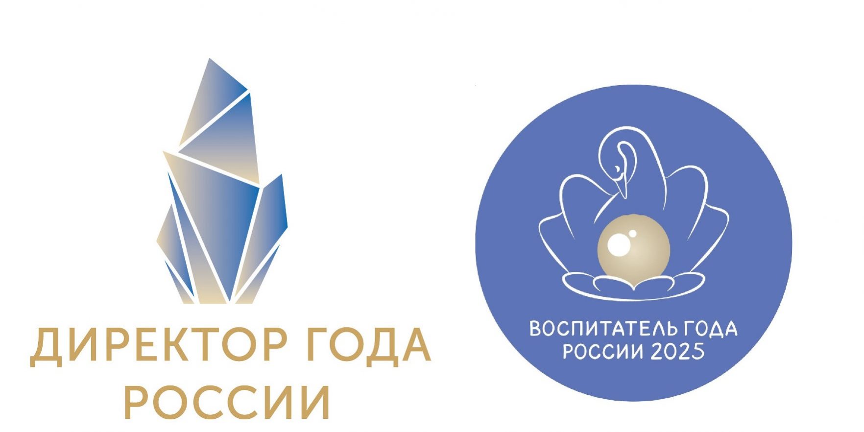Директор года России_